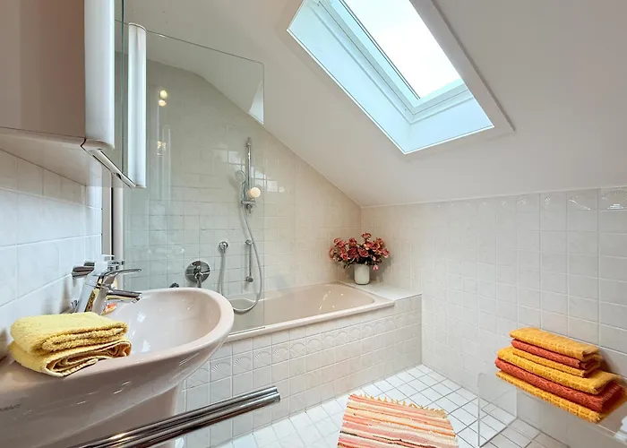 Bellevue Зипплинген